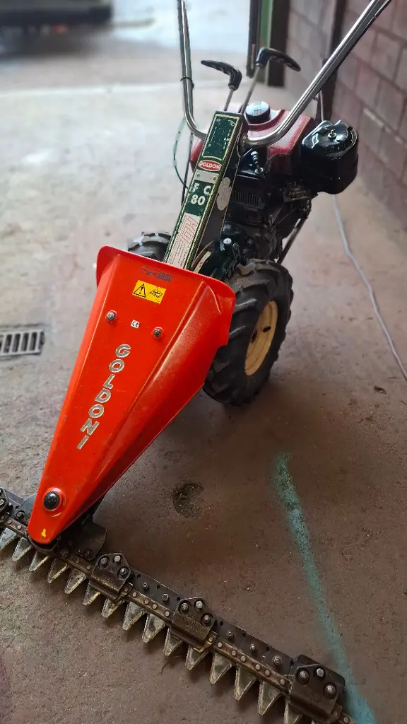 2449c179-ef58-4100-bb76-f2ee9db356c1-20260909_134359.jpg