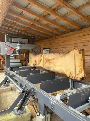 Bandsägewerk TTP 600 PREMIUM  11 kW