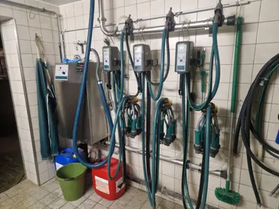 Rohrmelkanlage GEA