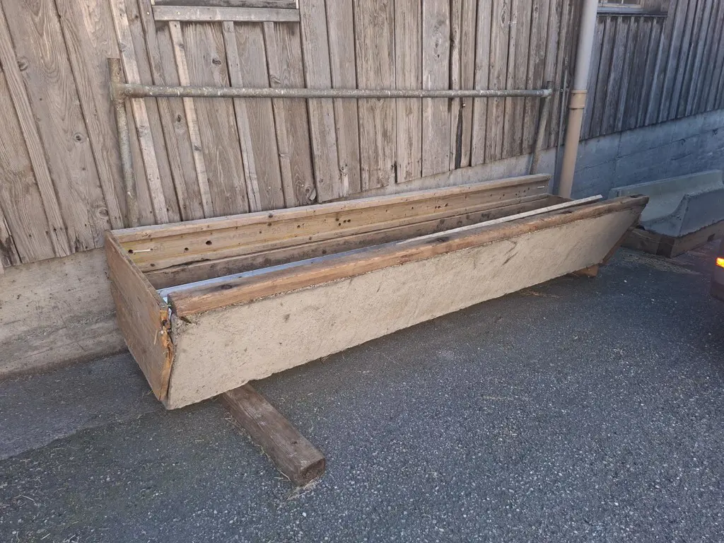 foto_1.jpg