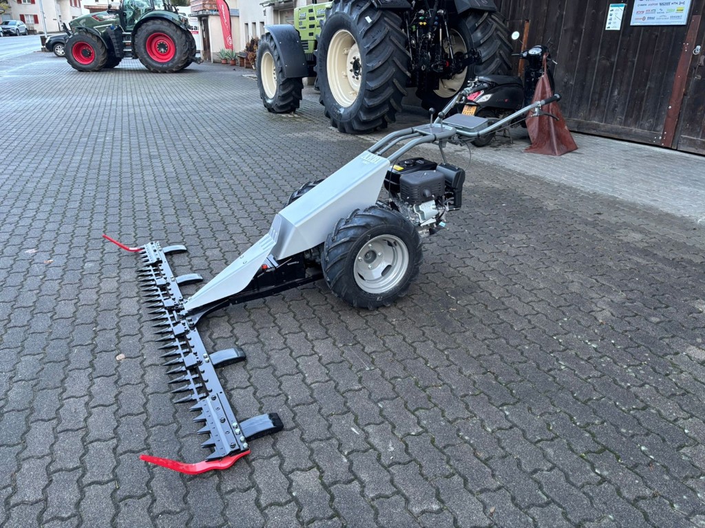 bb6eef86-9c13-4078-8d73-03559008d3fc-WhatsApp Bild 2025-10-27 um 08.jpg