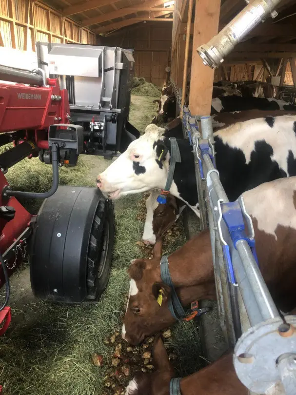 ef9db4d0-7056-4dad-9cc0-8c83dee4aa50-WhatsApp Image 2024-11-24 at 14.jpg