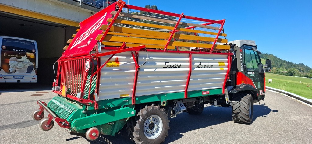 180cdf29-918b-4a3d-ab2c-35dfb7000bbf-lü1 20250919_150056.jpg