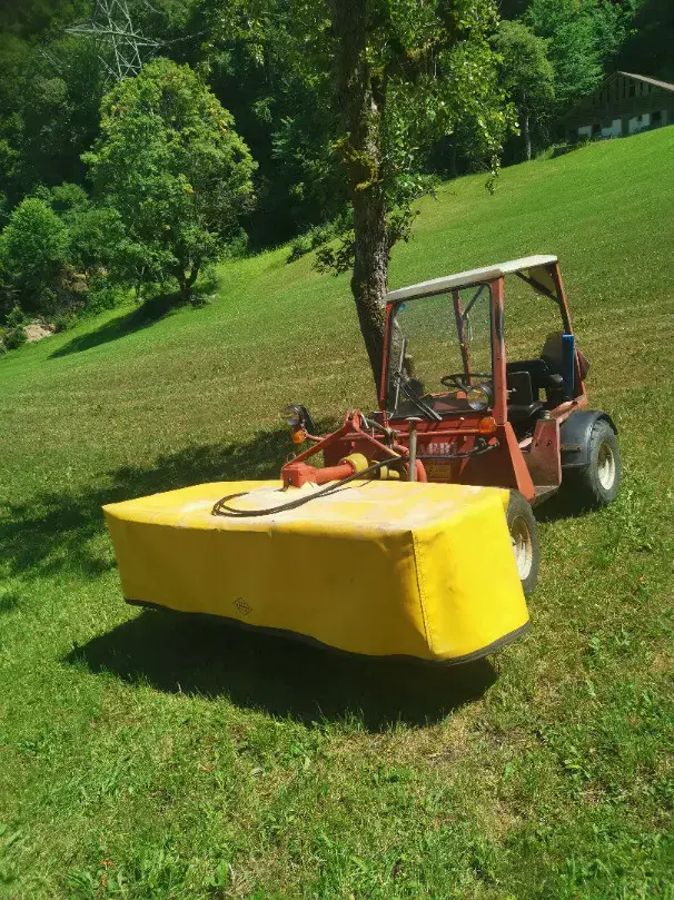 Aebi TT 33
