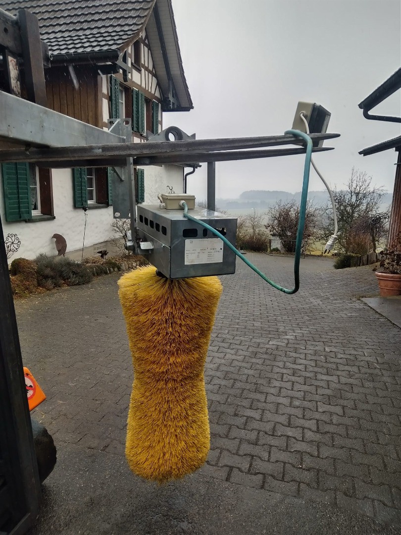 630873a5-ef81-4364-8d81-71f26c5b09d1-Pendelbürste gelb 2 (3).jpg