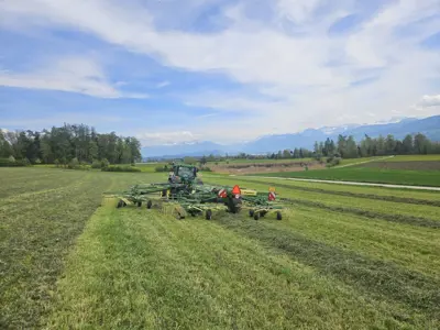 Krone Vierfach-Schwader