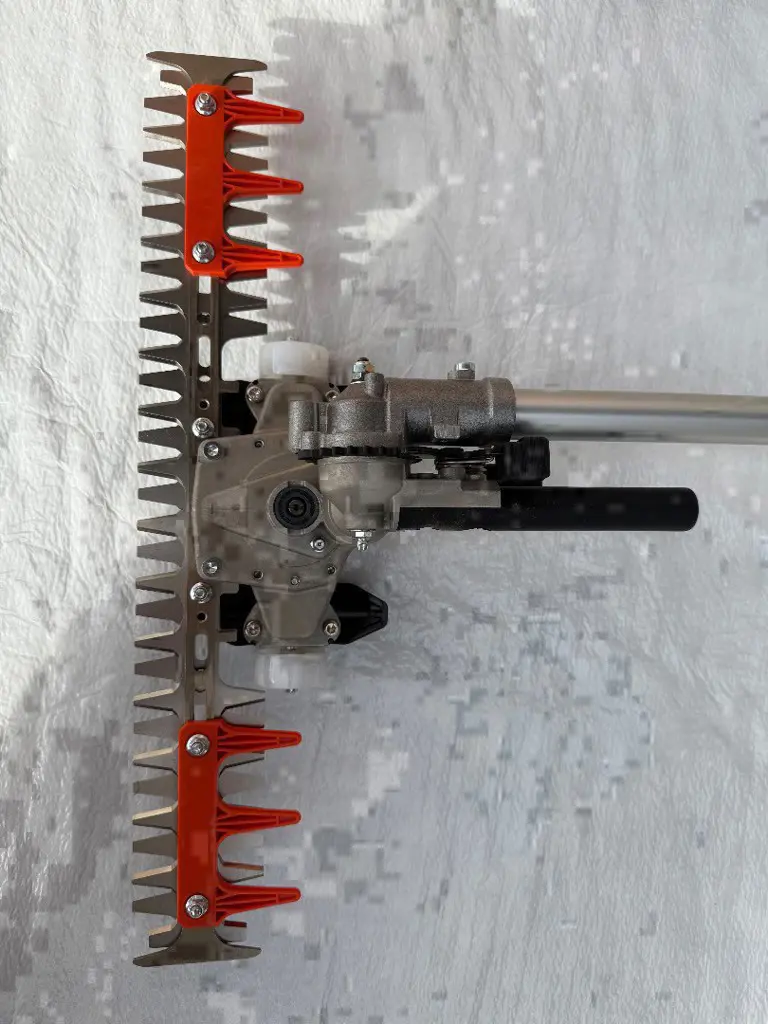 6a3bb654-9d2c-4ff0-b1e7-bde3500a901a-IMG_1078.jpg