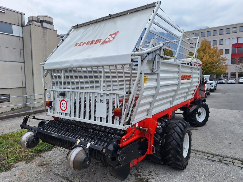 7307a99c-9554-4a0a-8e5c-3fb89ab220bd-PHOTO-2025-10-16-10-23-20 4.jpg