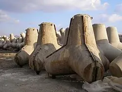 9c488f6b-e64a-467b-b09c-7791760bf00b-250px-Tetrapoden_in_Gussform conv.jpg