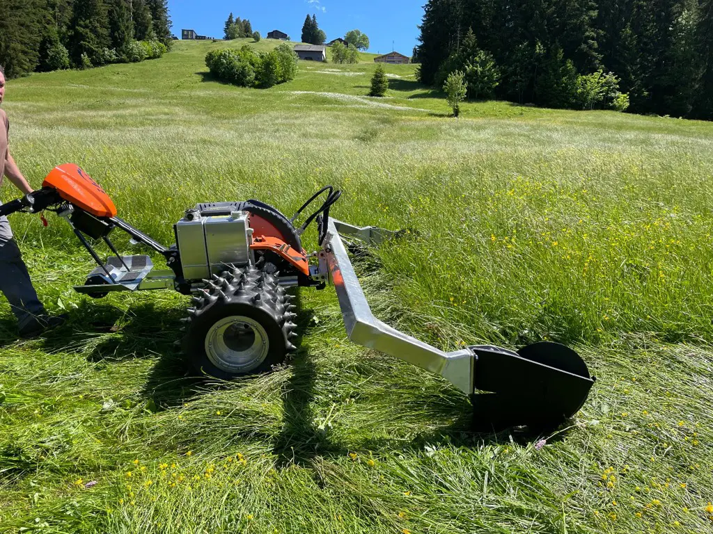 Ibex G2P