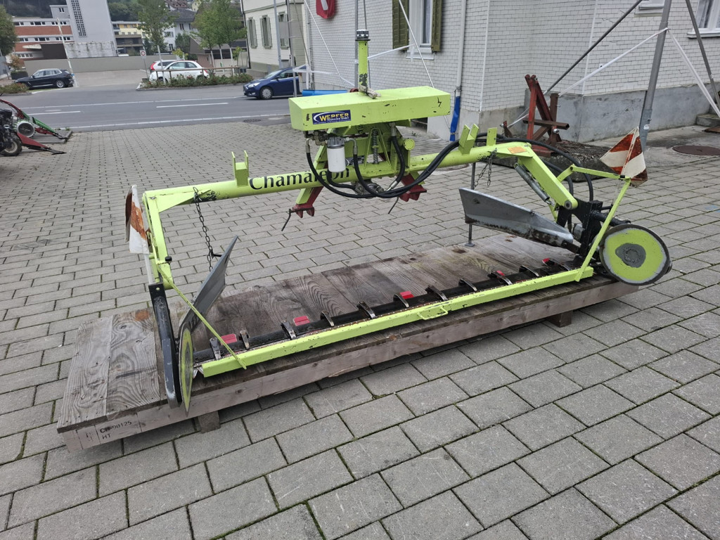 152a91d6-fffa-40b0-a1ad-b4d1d55cec05-WhatsApp Bild 2025-10-03 um 16.jpg