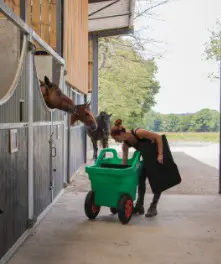 06951942-badd-452c-91d9-215a20c0ee54-