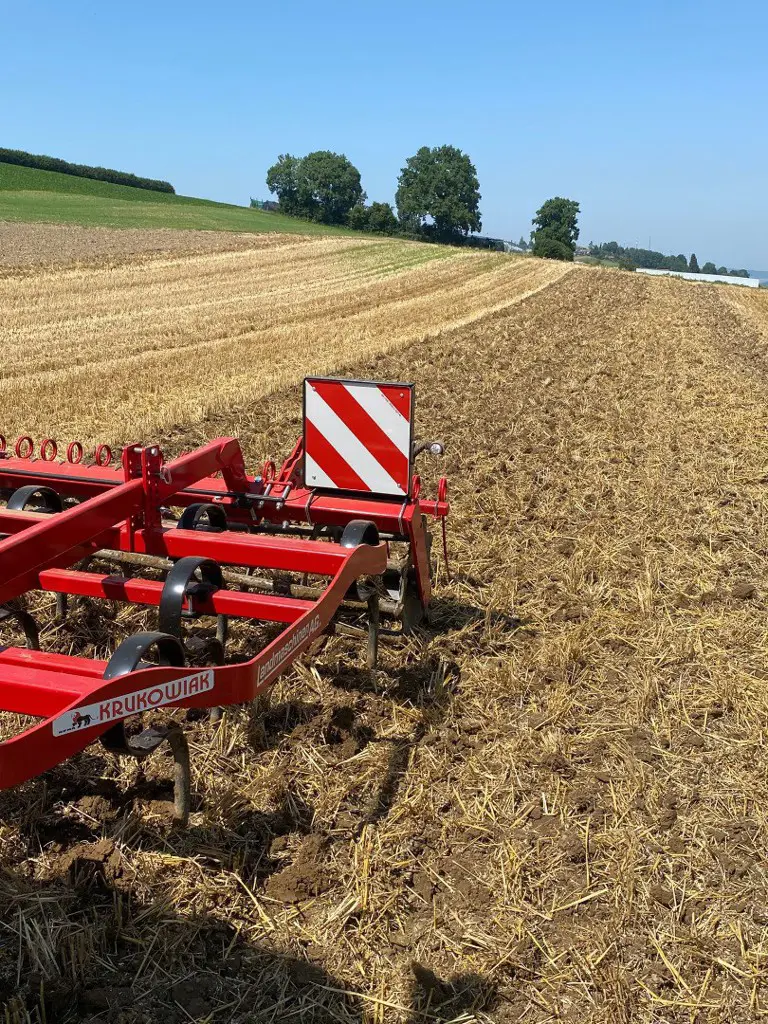 e413f9e1-bc98-4a63-b9e8-0fc6fc56f5d4-WhatsApp Bild 2025-08-12 um 14.jpg