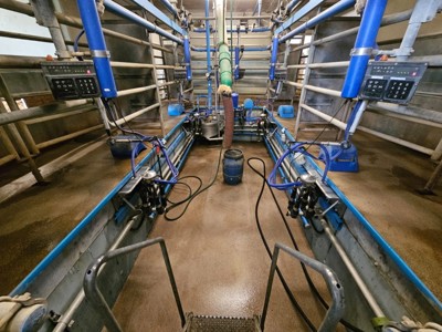 Melkstand Tandem 5 Plätze Delaval