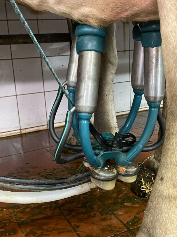 293d369b-c7ef-47c9-a789-029948811446-WhatsApp Image 2025-05-02 at 08.20.14 (1).png