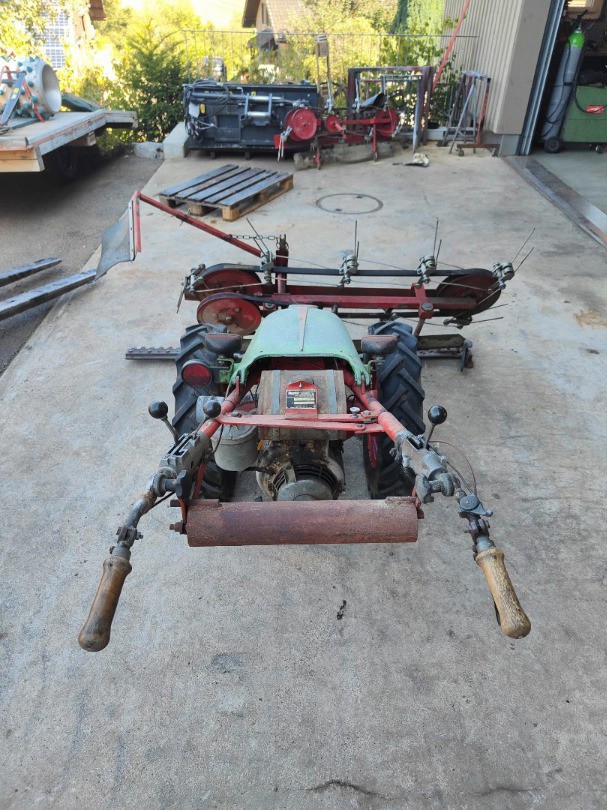 dde1427b-6753-4139-bd22-de1aefdc087d-WhatsApp Bild 2025-08-25 um 18.jpg