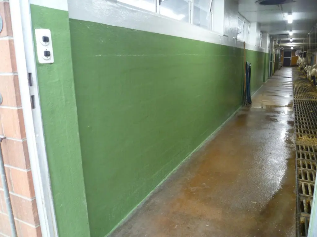 c67ec863-9d67-4d7b-91a4-91c72be76c57-Wand GFK Polyester (7).jpg