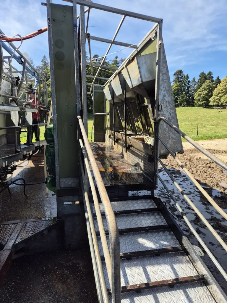 c32a8bf2-1cd9-4184-8645-7598c7560e18-Cremers Steiner  (19).jpg