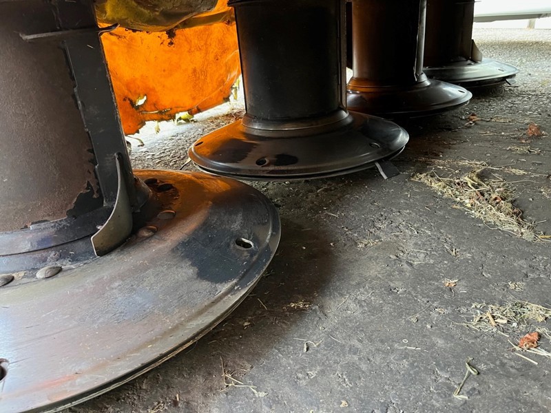 78fb89e8-c120-4f30-ba70-ded561ece473-Fella ex. Kümin Andi 2.jpg