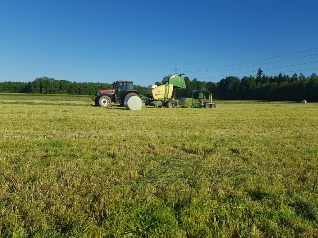 227f9857-9ff6-42dc-9d2c-660a7b8b47d2-WhatsApp Image 2025-03-06 at 11.34.10 (1).jpg