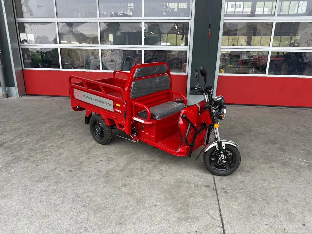 Elektro Lastendreirad Carello LDR 35 MF