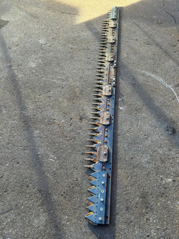 00c8a76f-fbf4-43ec-a52e-ab83b80e100e-Foto 12.12.25, 10 44 55.jpg