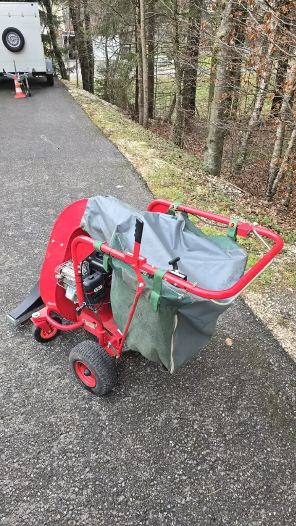 Aspirateur à feuilles Echo