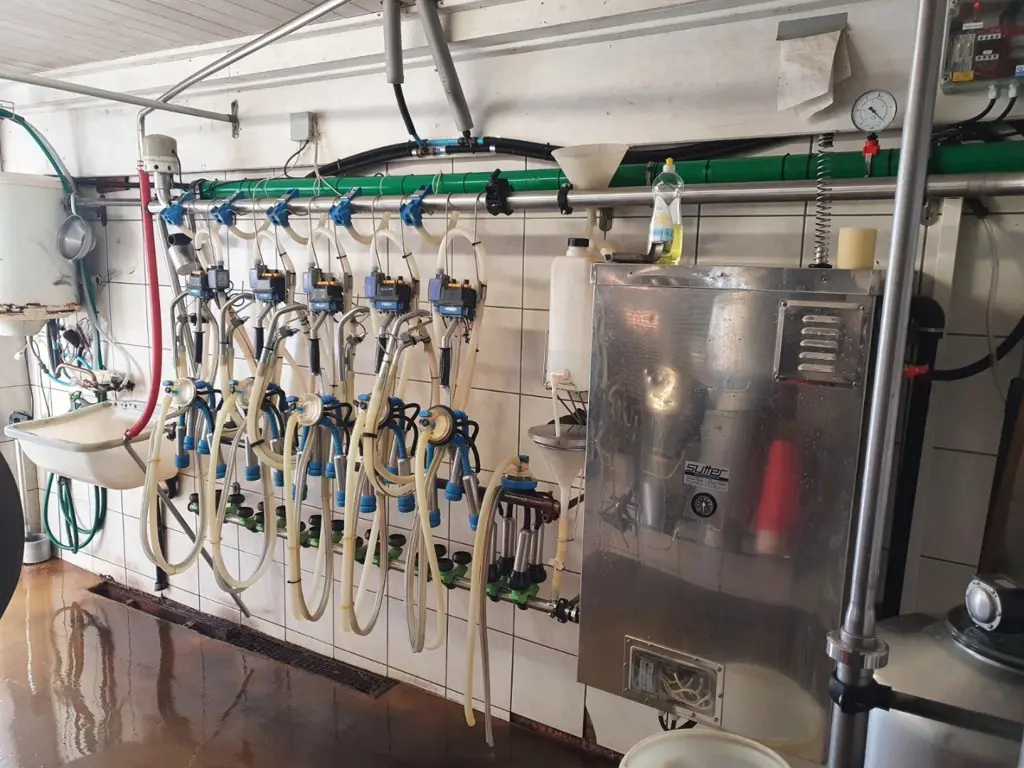Rohrmelkanlage Milkline 5 Aggregate für 40 Kühe