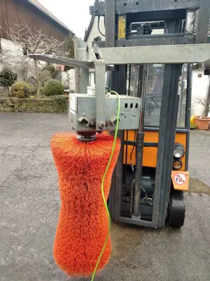 Kratzbürste, Pendelbürste, Viehbürste