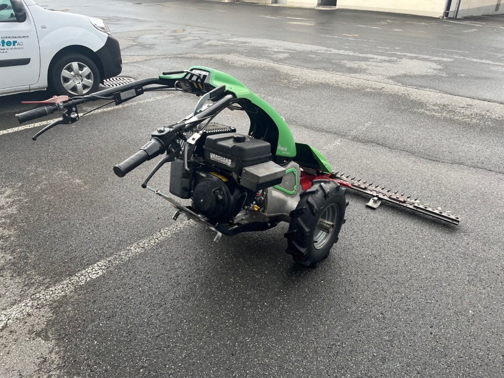 e3d31d01-b330-4b1e-b29a-0cb8998b7b12-Rapid Universo Mächler Mädi 4.jpg