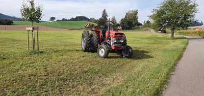 Massey Ferguson 165 mit Frontlader