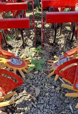 Hackgerät 6×50/4×75