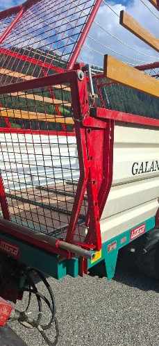 c8faa8d4-aa5e-43d9-9f58-7f6a5c085ae2-lüö1 20250729_173441.jpg