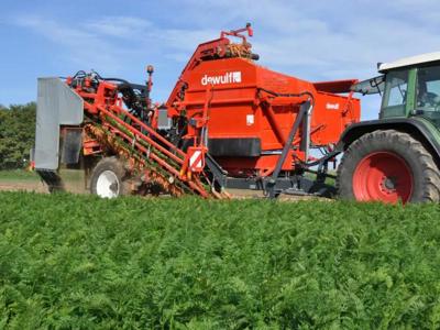 Dewulf Karottenvollernter GBC