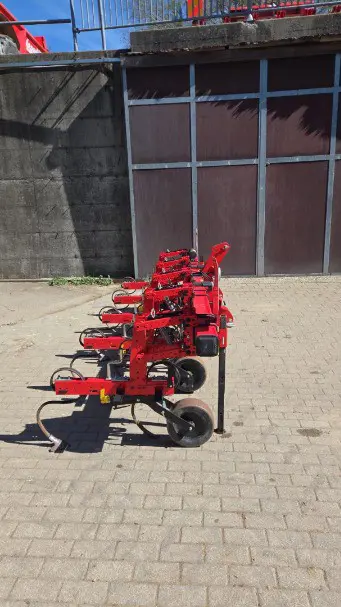 24e4252e-1370-443e-a079-b543343638a5-WhatsApp Image 2026-04-08 at 11.jpg