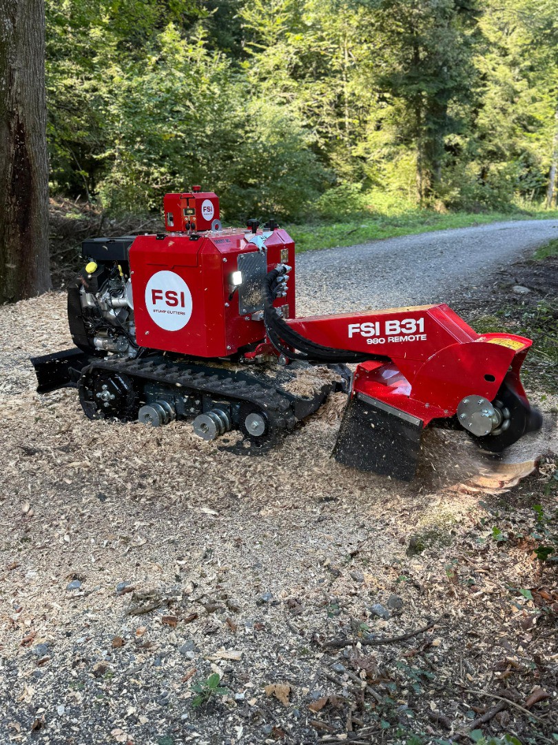 4006f9e0-a6f2-489f-9e77-da1877e3c291-WhatsApp Image 2025-08-25 at 18.jpg