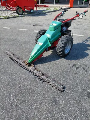 RAPID Euro 3 Occ.