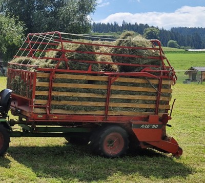 Trunkenpolz Ladegerät zu Schilter 2000