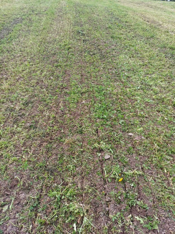 531952a9-3857-4db6-9150-ece4b6b72691-WhatsApp Bild 2025-09-23 um 11.jpg