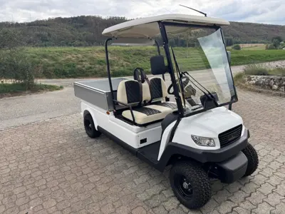 Elektrofahrzeug WSM MX6 Cargo mit MFK und Lithium AKKU