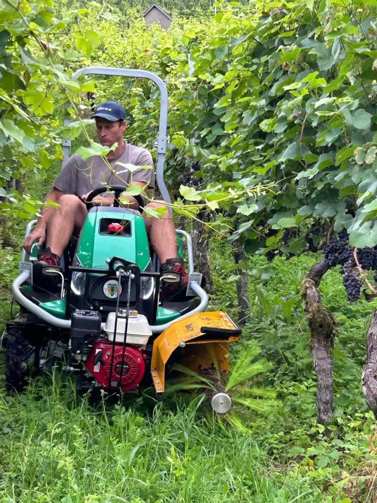 62596e49-aafc-4e20-b6d4-81091556dbb4-WhatsApp Image 2024-08-20 at 16.07.54 (3).jpg