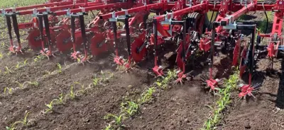 Hackgerät Steketee EC-Weeder 5V  IC-Light Kamera