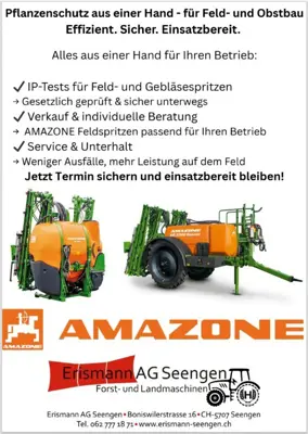 Amazone