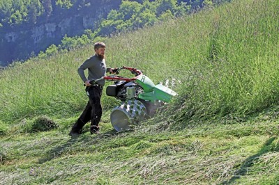 RAPID Motormäher Monta M161