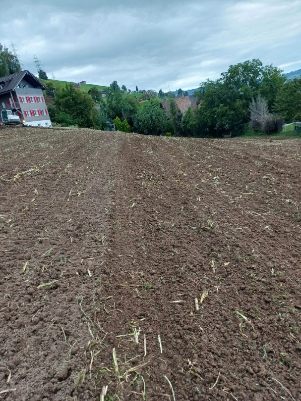 6ef25164-9654-4d7b-b252-49208214ba5b-WhatsApp Bild 2025-09-23 um 10.jpg