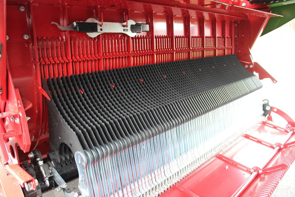 58a3882b-4058-4b67-9b6a-4d6533d4b782-Magnon11-430_DO (10).jpg