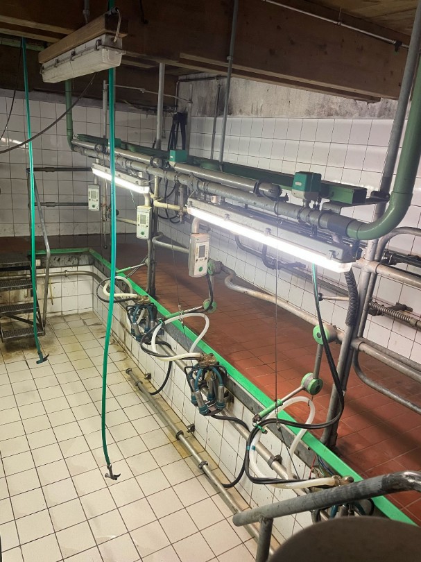 7352b823-871b-4c5e-810a-b2b52cf56083-WhatsApp Image 2025-05-02 at 08.png