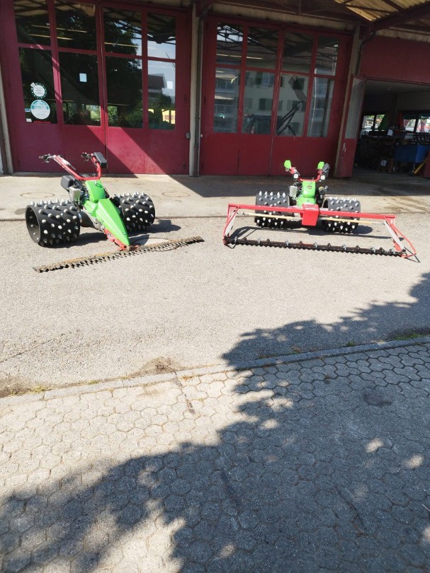 71130b55-626d-46c6-980a-531fff0af835-WhatsApp Image 2025-07-03 at 10.jpg