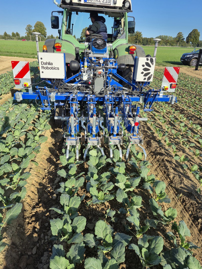 fdbbf816-22ce-4cf8-9680-2ddfcd76892b-1024-1365 (1).jpg