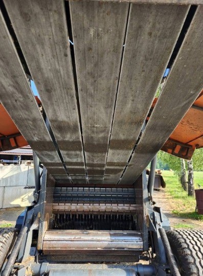 e67466d7-7217-47d1-8512-d834c58565a0-Photo 22.07.25 14 52 42 (2).jpg